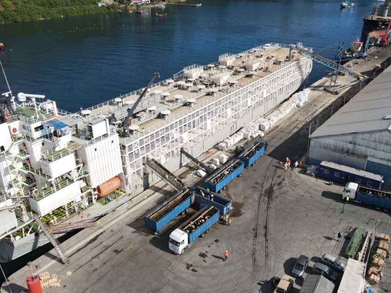  ZARPA EN PUERTO MONTT EL PRIMER EMBARQUE DE VAQUILLAS VIVAS DE LA TEMPORADA