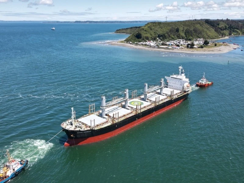 Empormontt cerrará el año con una leve alza cercana al 7%