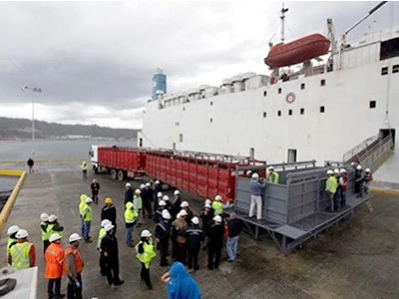 Empormontt tiene planificado tres embarques de ganado para el 2021