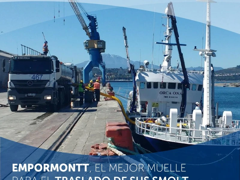 EMPRESA PORTUARIA PUERTO MONTT MOSTRÓ AUMENTO EN LA MOVILIZACIÓN DE CARGAS DE SMOLT